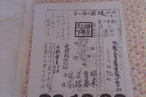 2/13 濟公活佛   六合參考