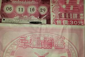 2/13 六合皇  六合參考