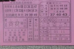 2/16 大發廣告  六合參考