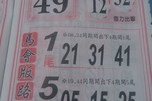 2/16 馬會版路   六合參考