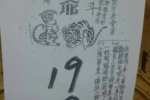 2/18 虎爺+拆字 六合參考