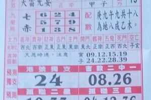 2/18 聖母寶鑑  六合參考