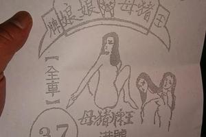 2/23 豬母娘娘  六合參考