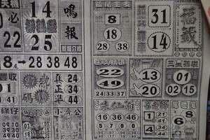 2/23 福籤+鳴報  六合參考