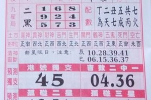 2/25 聖母寶鑑  六合參考