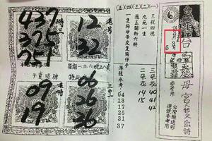 3/1~3/5 慈母宮  六合參考