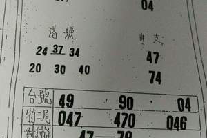 3/5 港號台號單支  六合參考
