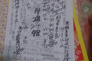 3/8~3/12 靈寶通真宮  六合參考