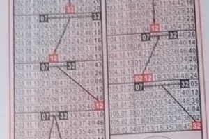 3/12 聖母寶鑑  六合參考