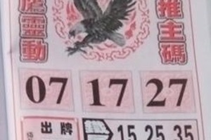 3/15 神鷹  六合參考