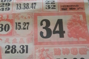 4/9 大樹公+福多寶  六合參考