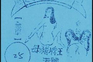 5/31 豬母娘娘  六合參考