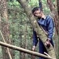自殺森林「青木原樹海」　恐怖驚悚畫面讓人不寒而慄！