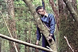 有500多位日本人先後在這片樹海自殺，專家發現這片森林居然有這麼恐怖的秘密...