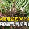 一味中藥48小時可殺死98%癌細胞 ，減輕你的痛苦！轉給需要的人！