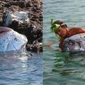  罕見地震魚遭捕獲！台灣海灘驚見海龍王活體，身長15.2公尺超嚇人！