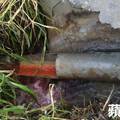 電鍍工廠偷排廢水　檢警搜索活逮