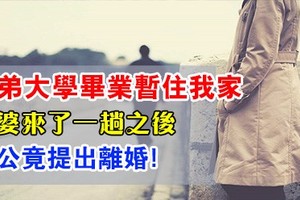 弟弟大學畢業暫住我家, 自從婆婆來了一趟, 老公竟要求離婚!