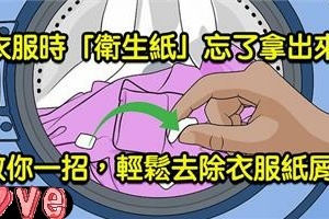 洗衣服時「衛生紙」忘了拿出來？教你一招，輕鬆去除衣服紙屑！