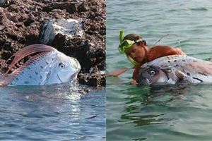  罕見地震魚遭捕獲！台灣海灘驚見海龍王活體，身長15.2公尺超嚇人！