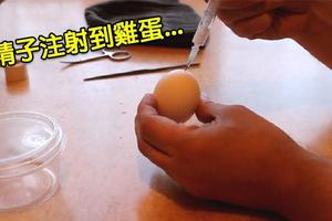 俄國男把「自己的新鮮豆漿」注入「普通的雞蛋」，40天後雞蛋中竟然誕生這個「根本不該存在」的生命體？！
