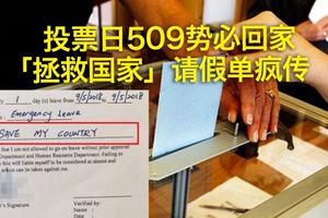 投票日509勢必回家　「拯救國家」請假單瘋傳 