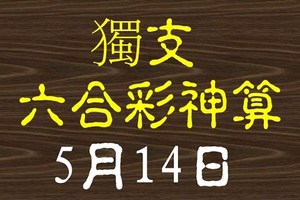 [六合彩神算] 5月14日 獨支 10期版路分析(所有期數)