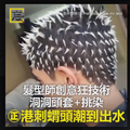 酷！㊣港刺蝟頭 讓你潮到出水
