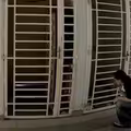 男深夜出現公寓外　偷拿門口鞋子猛聞
