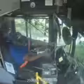公車司機邊睡邊開　猛烈撞樹傷亡情況曝
