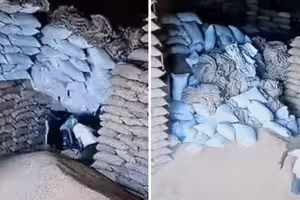 小麥袋突然倒塌　5工人被活埋