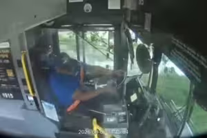 公車司機邊睡邊開 猛烈撞樹傷亡情況曝 公車司機邊睡邊開 猛烈撞樹傷亡情況曝
