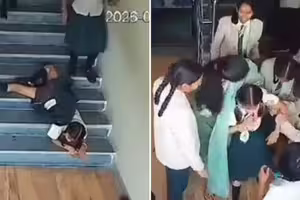女學生下學校樓梯 「正面撲倒」慘了 女學生下學校樓梯 「正面撲倒」慘了