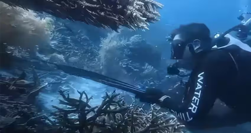 潛水教練射殺海龜　疑烹煮來吃下場慘了
