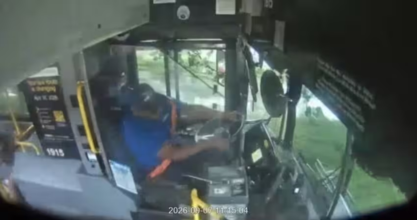 公車司機邊睡邊開　猛烈撞樹傷亡情況曝