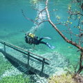 奧地利奇景《綠湖水下公園》，不穿潛水衣就無法逛公園！