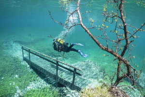 奧地利奇景《綠湖水下公園》，不穿潛水衣就無法逛公園！