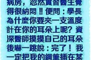 “你家的貓怎么這么瘋跑？”