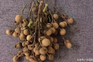一秒剥龙眼的小技能，这才是正确的剥法，你剥对了吗？