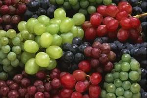 爱吃葡萄，千万别错过这篇文章，教你如何正确吃葡萄