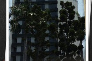 夢想名言分享(2)感謝有你們。
