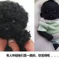   直擊世界上最黑的嬰兒，如今已經長大變這樣，網友：晚上自帶隱身功能！