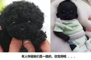   直擊世界上最黑的嬰兒，如今已經長大變這樣，網友：晚上自帶隱身功能！