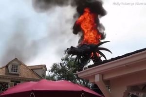 不是效果！ 佛州迪士尼花車起火變「火龍」