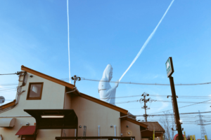 超震撼！日本驚見「巨大觀音」現世 網歪樓：佛像星人？