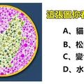 準得不要不要的！你第一眼看到什麼動物？看穿你不為人知的潛藏性格！