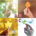 選一片你喜歡的葉子，測你近期會發生什麼好事！