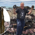 紐西蘭強震大量「頂級黑鮑魚」浮上岸，沒想到當地漁民竟「這樣做」…感動所有人！