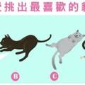 心理測試：挑選一隻最喜歡的貓咪，立馬測出你的個性怎樣？