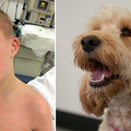 5歲唐氏症男孩被「反鎖在烘乾機內」，家中愛犬「這樣做」救了他一命！